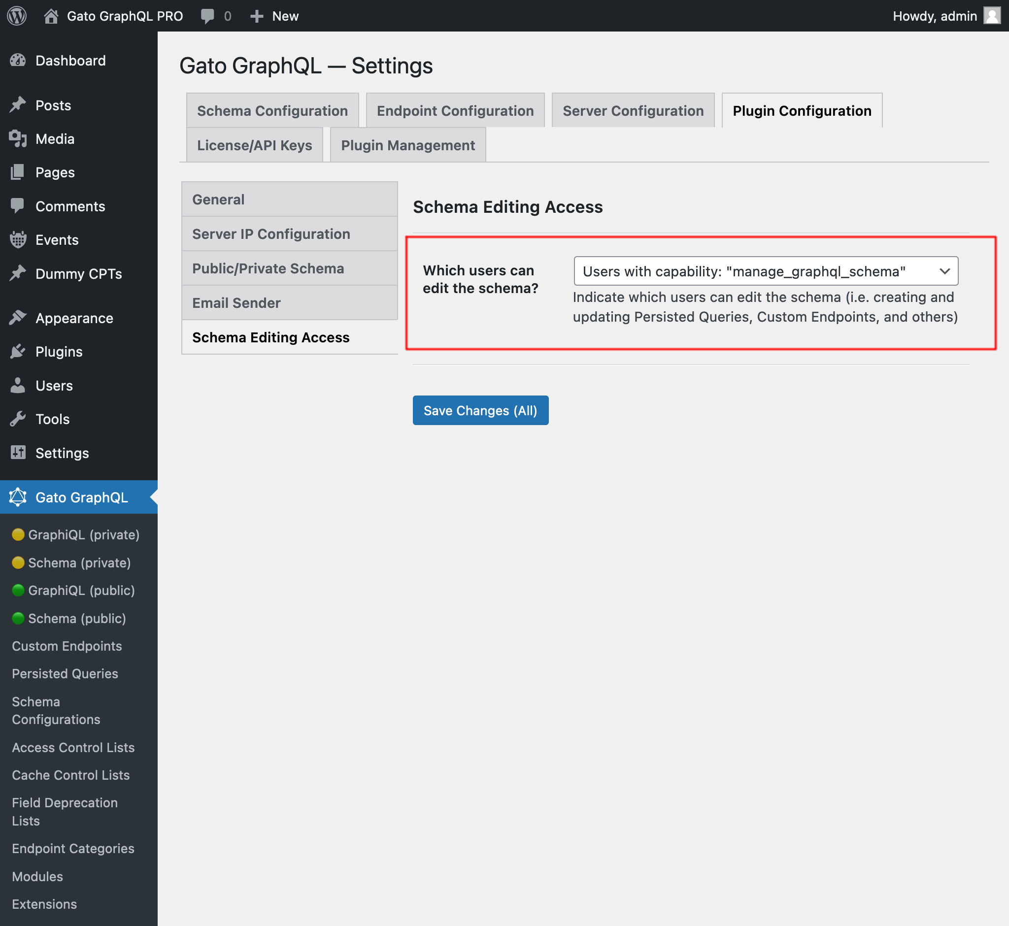 Configuring the schema editing access in the Settings